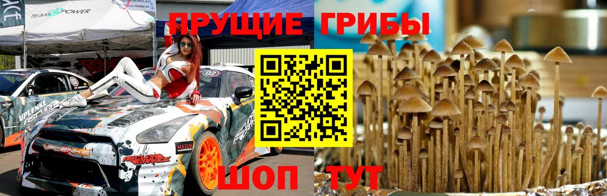Галлюциногенные грибы MAGIC MUSHROOMS Тимашёвск